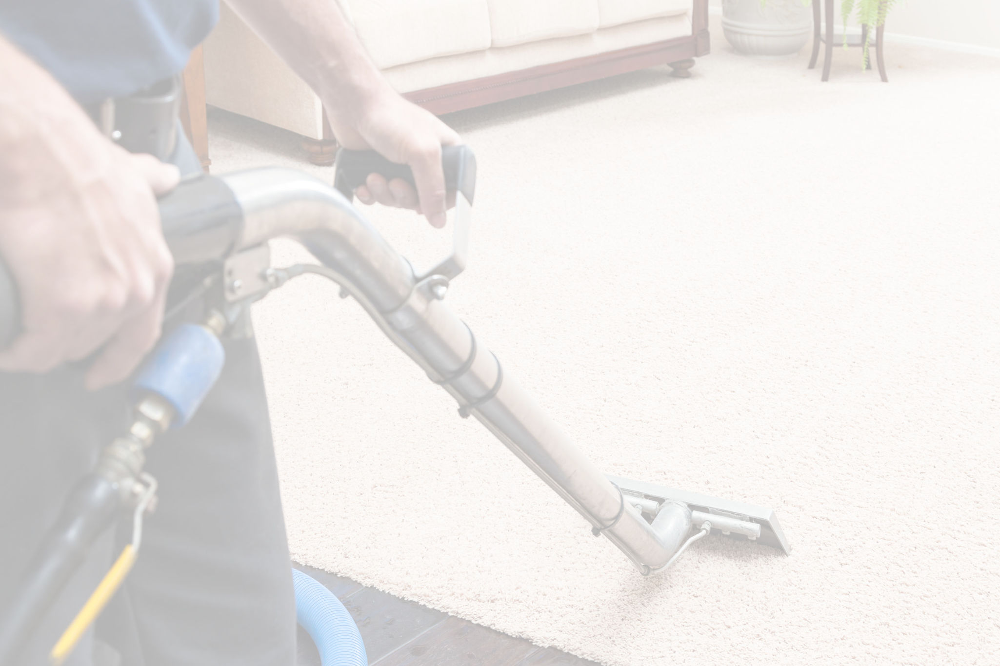 Carpet Cleaning